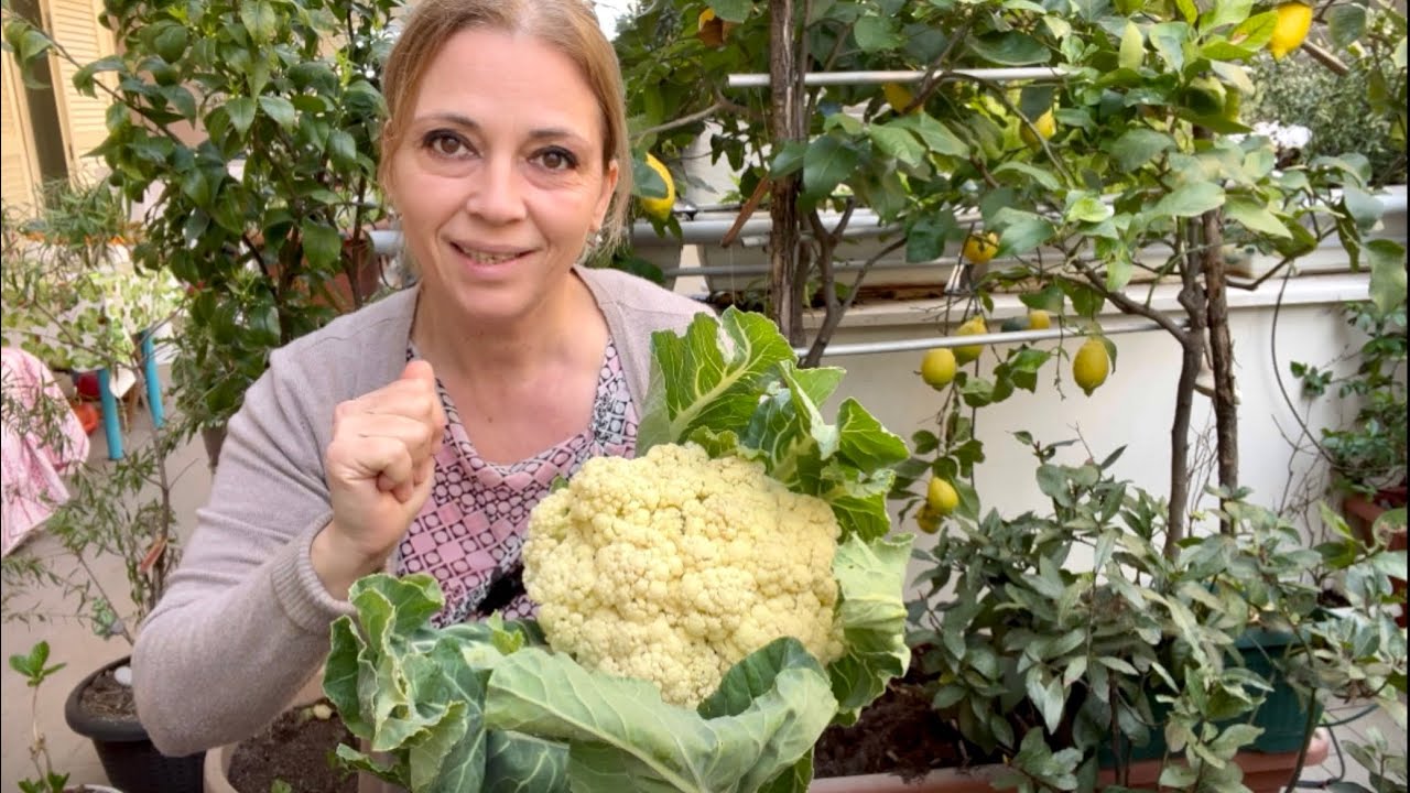 Моят мъж тръгна за работа и ми заръча карфиол на фурна 🥦🥦