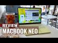 Macbook Neo Review: The Budget MacBook That Could Kill the Competition