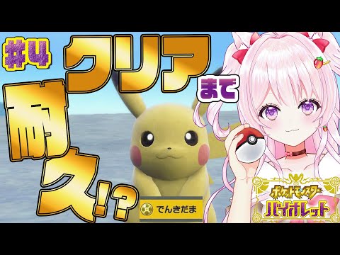 【ポケモンSV】最強のポケモンでんきだまピカチュウでクリア耐久！レイド参加自由♡ラスボスに向けてレベル上げ💪早くジャッジとランクマ対戦と金策したい🔥色違い０脱却😭【ポケモンSV実況/Vtuber】