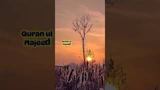 Quran hidayat reaction [Quran ul Majeed] #deeni #hidayat #motivation #mohammad #allahuakbar #mma