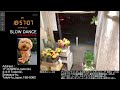 【Sun.04/26/2026 Livecamera at the florist】 スローダンス SLOWDANCE 等々力 尾山台 世田谷 Setagaya 東京 Tokyo 日本 Japan