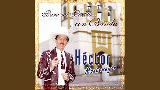 Padre Triste (Banda)