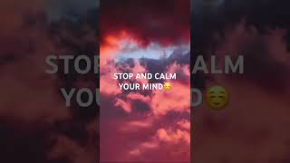 Calm Mind Calm Spirit #chill #music #aesthetic #calmanxiety