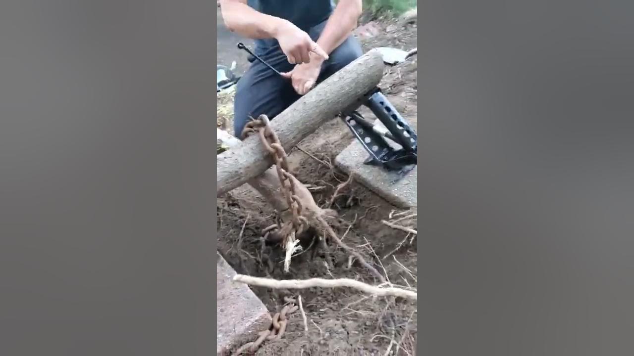 Pulling tree stump with car jacks YouTube