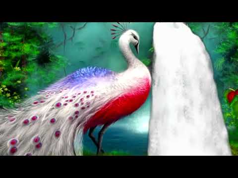 მანტრა უბრუნებს ადამიანს ჯანმრთელობას, სილამაზეს, ფულს.