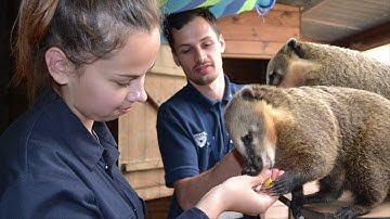 Writtle University College | Titchmarsh Animal Centre