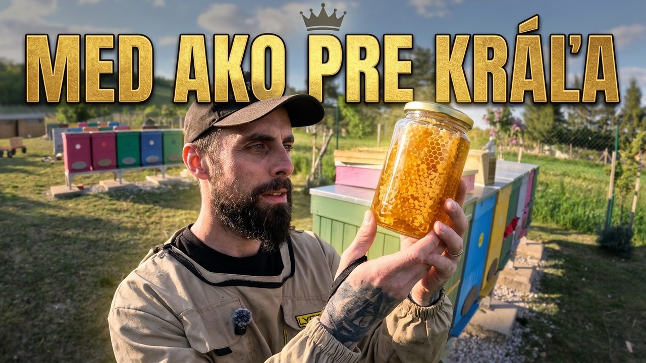 Včely mi vyrobili med priamo do pohára. Po 3 rokoch sa to podarilo 🍯