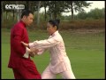 Kung Fu - Tuishou du taiji 2