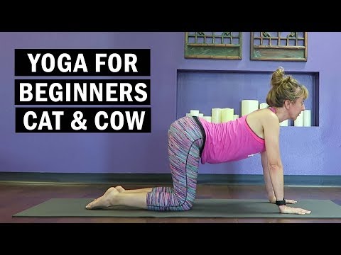 How to do cat cow yoga pose - Yoga for beginners