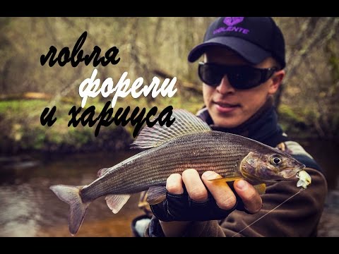 ловля форели и хариуса