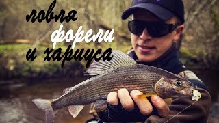 видео: Ловля форели и хариуса. Реки Литвы часть 2. картинка: Ловля форели и хариуса. Реки Литвы часть 2.