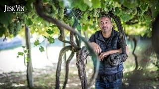 Bodegas Forjas del Salnes - Leirana, Areas de Arra