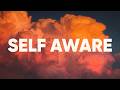 Self Aware Temper City Cover Official Lyrics Video 