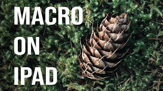 Macro focus stack workflow: From shot to PS on iPad in the forest!