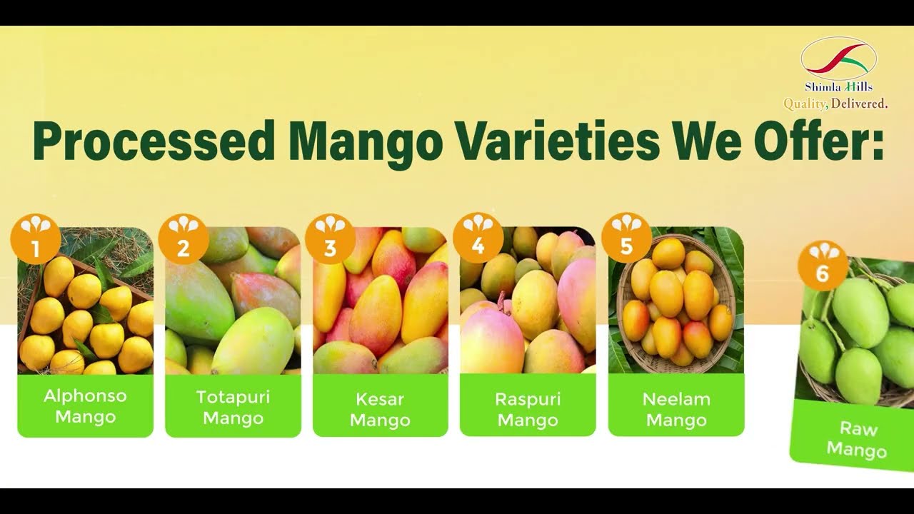 Mango Pulp & Puree Manufacturer in India | Shimla Hills