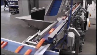 china automatic candy counting packing machine
