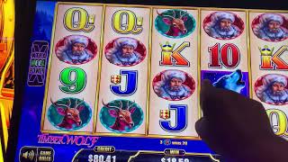 I Tried All Denominations and Then… on Cash Express Timber Wolf