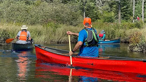 I fell in love with the Swift Dragonfly Canoe
