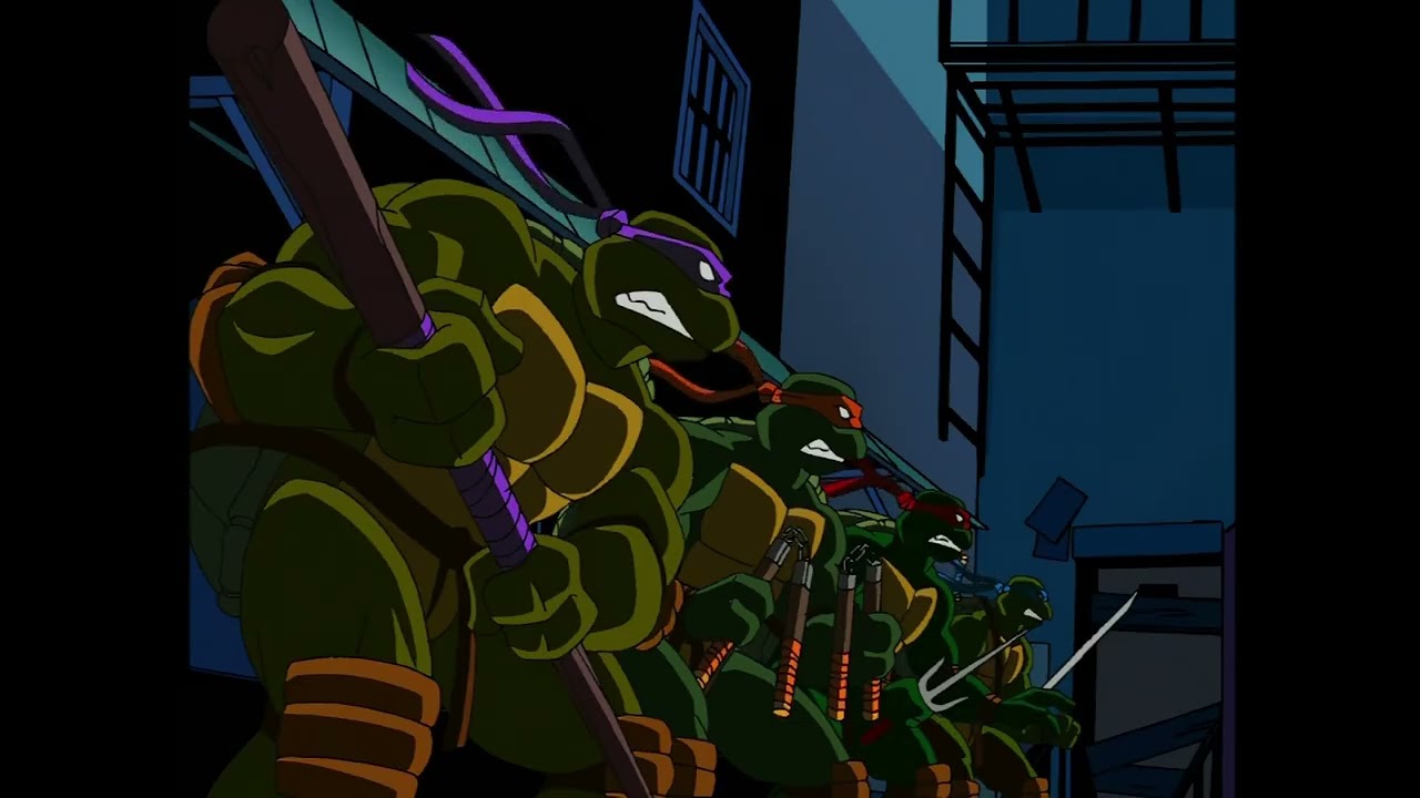 Turtles get kicked out by home owner's association