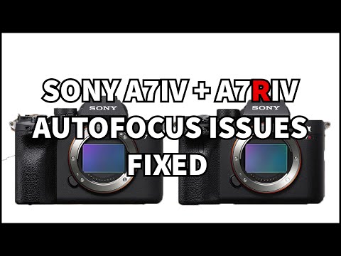 Sony Alpha A7S III vs Sony Alpha A7R IV