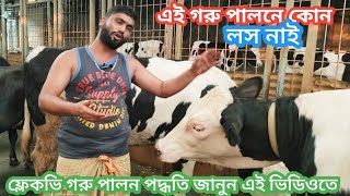#পৃথিবীর সেরা জাত ফ্লেকভি# জাকের ডেইরী ফার্ম থেকে ৬ মাসের ফ্লেকভি বকনা বিক্রি হবে দাম ও বি:জা:Jdf