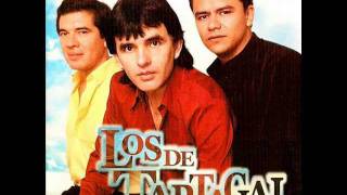 Los De Tartagal-Te Juego Lo Que Quieras.wmv