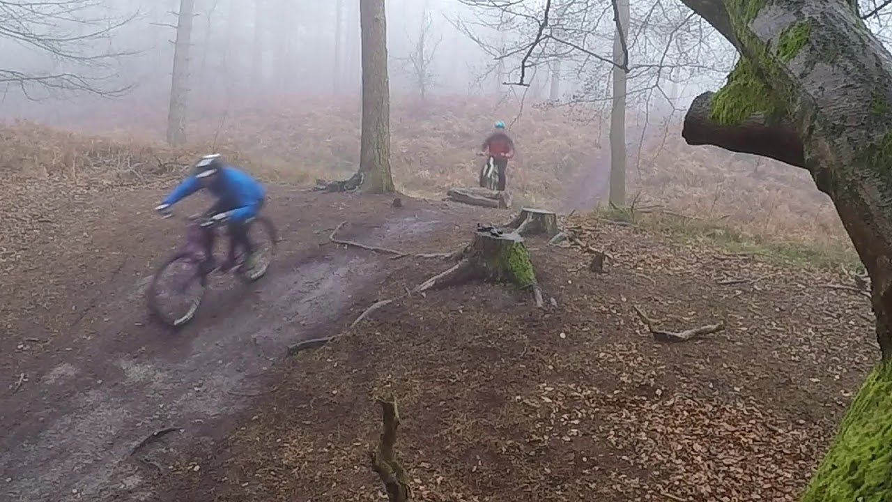 Stoogefest - Rigid Bikes