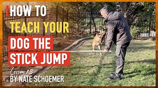 Effortlessly Teach Your Dog the Stick Jump Command with These Expert Strategies!