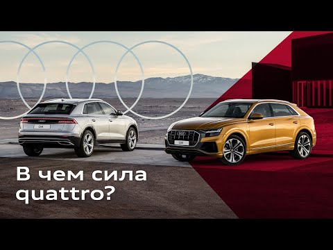 40 лет Audi quattro: как один полный привод изменил историю автомобилей