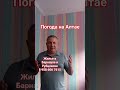 Приезжайте на Алтай