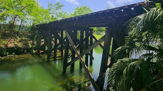 Exploring 100 Year Old Abandoned Railroad Trestle in the Middle of Miami