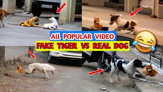 FAKE TIGER 🐯 VS REAL DOG 🐕 All Viral Popular Prank 😂😂