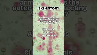The Skin Story Trivia