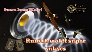Rumah walet super sukses - Suara Walet Yang Berkualitas - Panen sarang burung walet RBW
