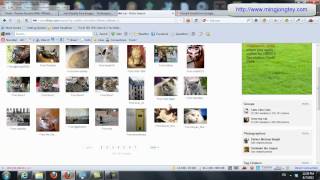 Get Royalty Free Images With Flickr - Free Images To Use On Your Sites