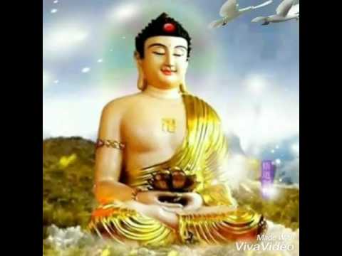 Mama Yuen Liang Wo (maafkan Aku Mama)