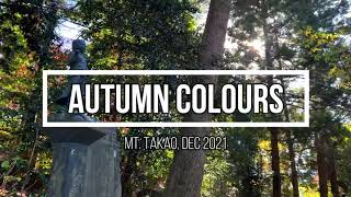 Autumn Colours on Mt. Takao