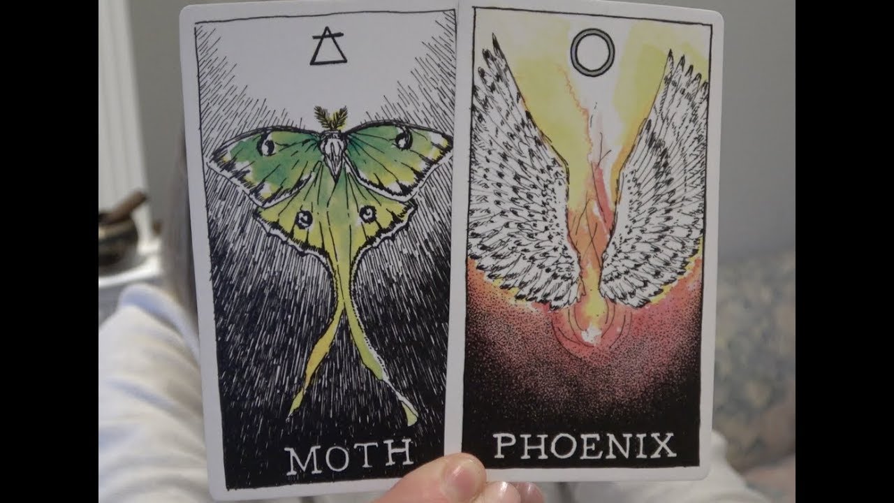 Leo - They are Back - Months of No Contact...  They Want to Connect Again!