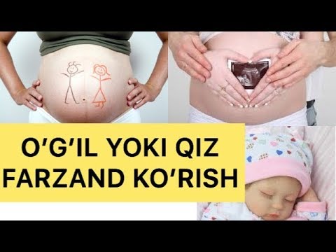 Video: It siydigining hidini zararsizlantirishning 3 usuli