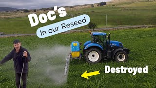 How Did the Docks Get THIS BAD?! Shocking #farm #tepari #silage #farming #cows #sheep #tractors