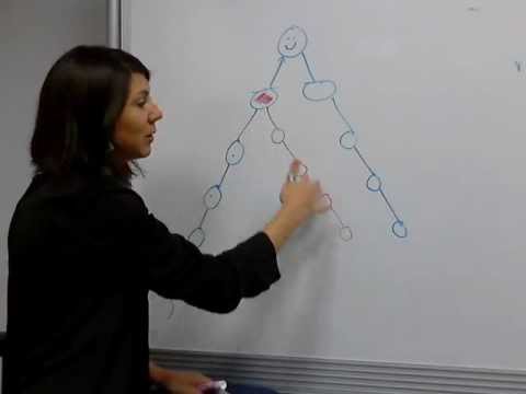 Vemma Placement Strategy - Binary Compensation Plan