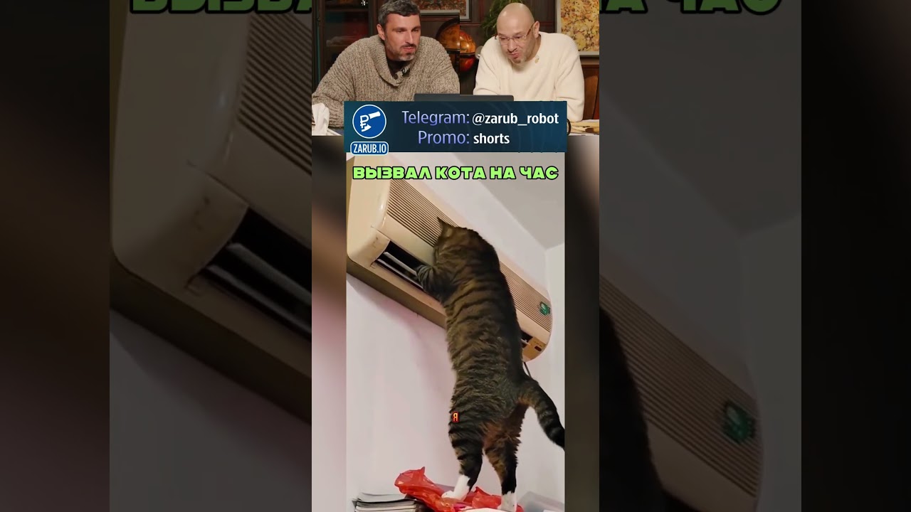 ЭТО ЛУЧШИЙ ПРИКОЛ №50 😹 👍🏻