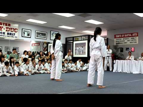 Tae Kwon-Do White Belt Test: Chon-Ji.MOV