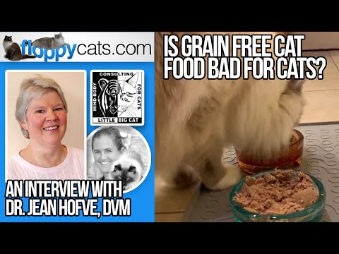 Video: Grain Free Cat Food