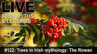 Live Irish Myths episode #122: Trees in Irish mythology: The Rowan