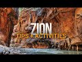 50: Exploring Zion -- Best Hikes, Viewpoints, and Drives