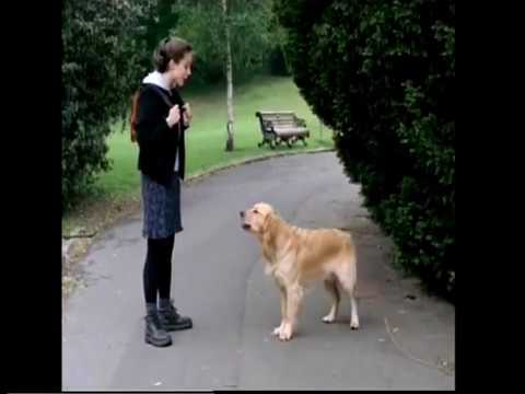 მეათე სამეფო 2