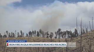 Fire in Gila Wilderness shows 'no significant' growth