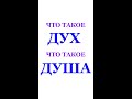 ЧТО ТАКОЕ ДУХ И ДУША, РАЗБЕРЁМСЯ В ТЕРМИНАХ. Трехлебов А.В 2022,2023,2024,2025