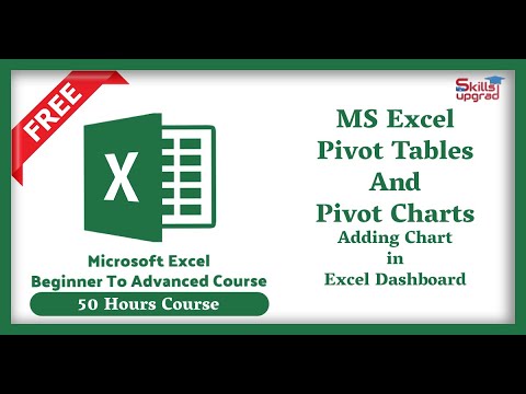 MS Excel Beginners To Advanced Course | Adding Pivot Chart in Excel Dashboard |